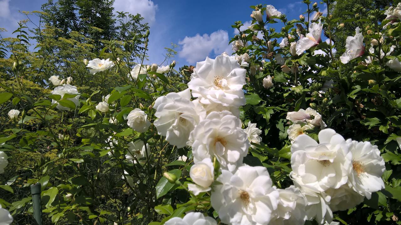 Hotel Kleine Iphofen, Fruehstueckszauber, No Waste, Nachhaltig, Nahe Aller Weingueter, Knauf Gips Kg Und Connekt, Kleines Secret Mit Garten & Terrassen, Tv Mirrorring, 55