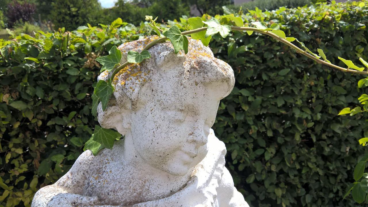 Hotel Kleine Iphofen, Fruehstueckszauber, No Waste, Nachhaltig, Nahe Aller Weingueter, Knauf Gips Kg Und Connekt, Kleines Secret Mit Garten & Terrassen, Tv Mirrorring, 55