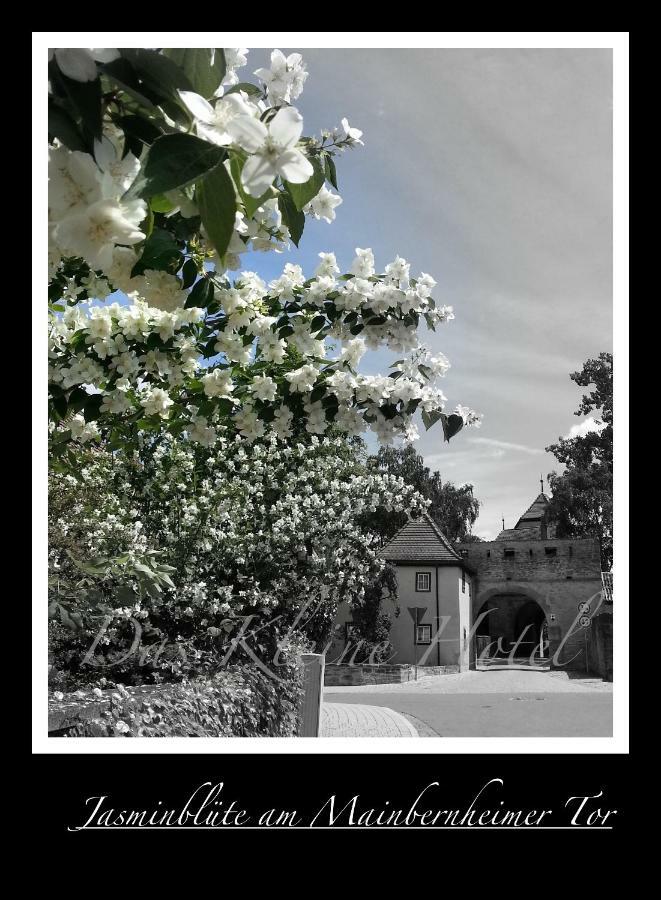 Kleine Iphofen, Fruehstueckszauber, No Waste, Nachhaltig, Nahe Aller Weingueter, Knauf Gips Kg Und Connekt, Kleines Secret Mit Garten & Terrassen, Tv Mirrorring, 55